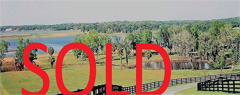 Buddy Lake Lakeview & Access in Two Ten Acre Parcels Bozeman Road Dade City Pasco County Fl 33523 SOLD